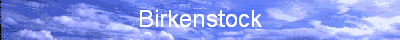  Birkenstock 