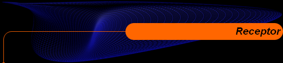  Receptor 